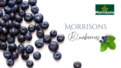Morrison Blueberries