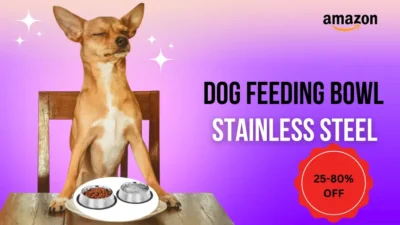 Dog Feeding Bowl