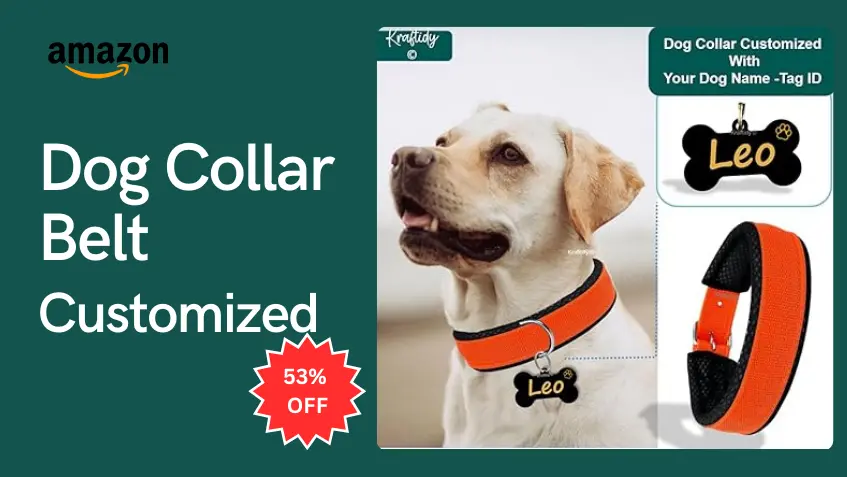 Dog Collar Belt